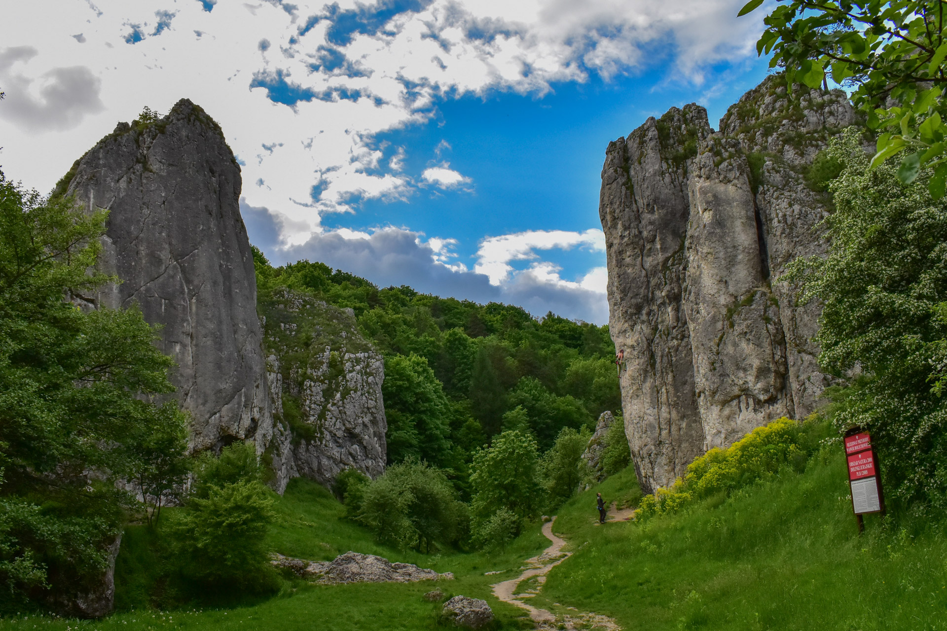 You are currently viewing Dolina Bolechowicka wraz z Rezerwatem Wąwóz Bolechowicki