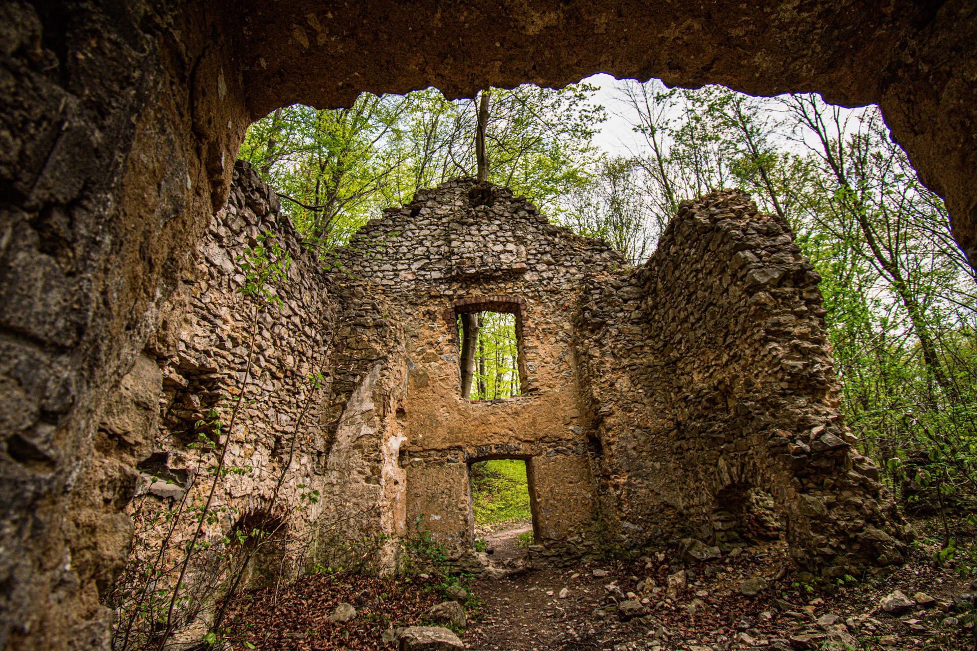 You are currently viewing Rezerwat Dolina Eliaszówki