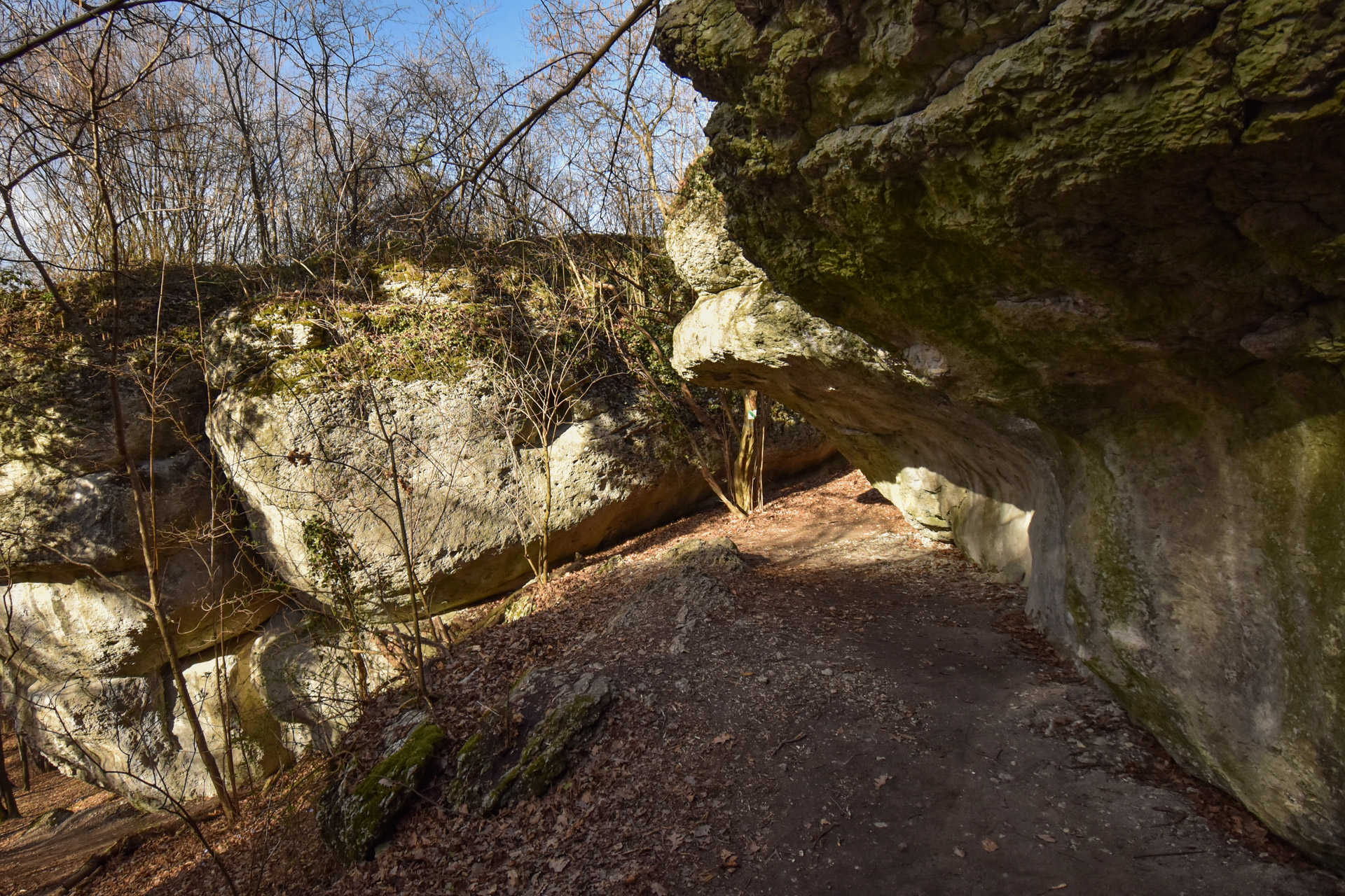 You are currently viewing Rezerwat Zimny Dół