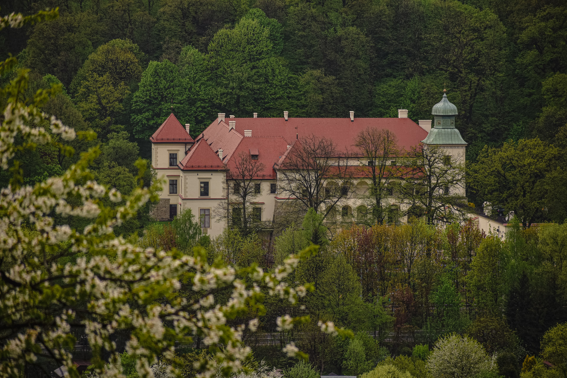 You are currently viewing Zamek Suski w Suchej Beskidzkiej