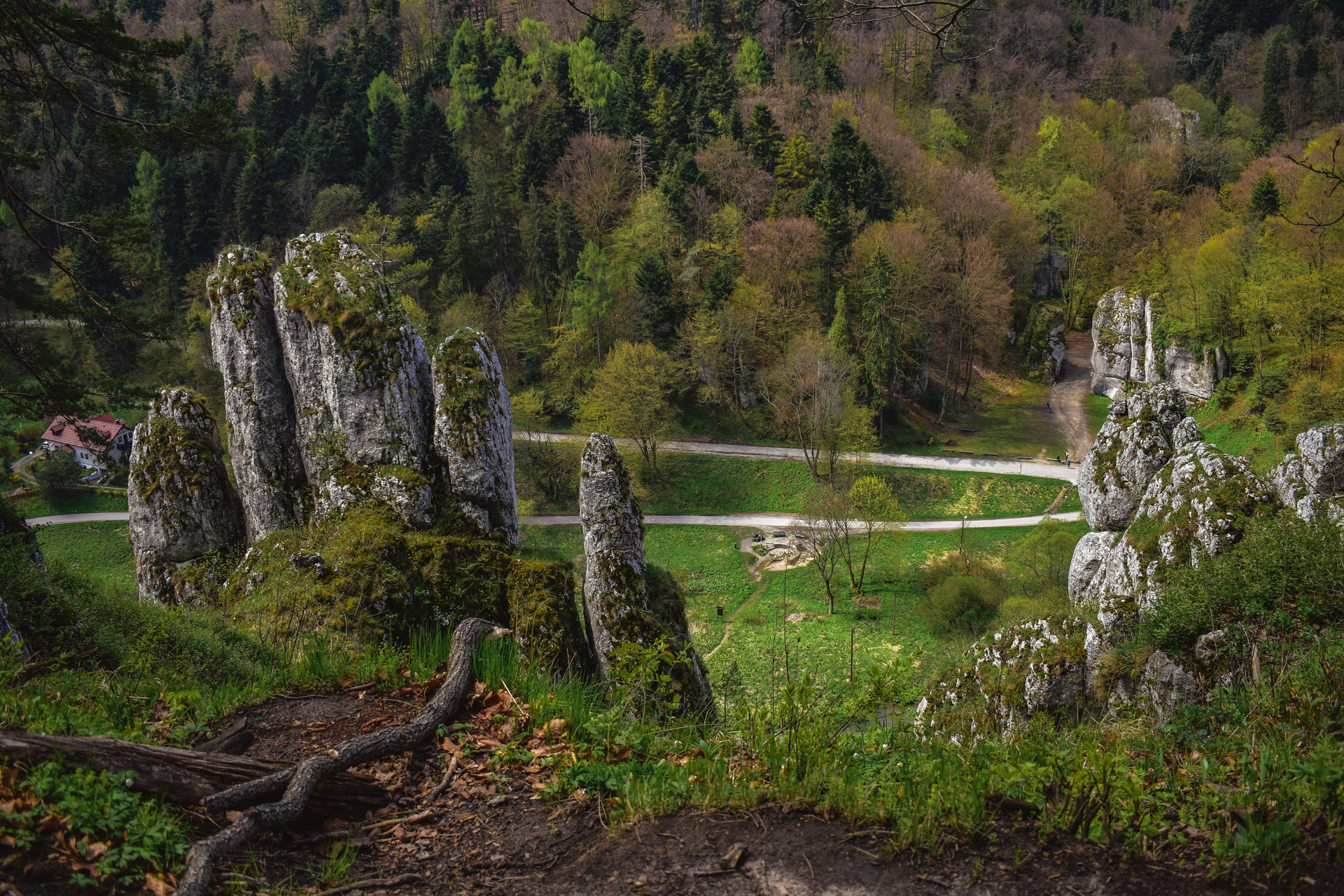 You are currently viewing Zielony Szlak nad Ojcowem