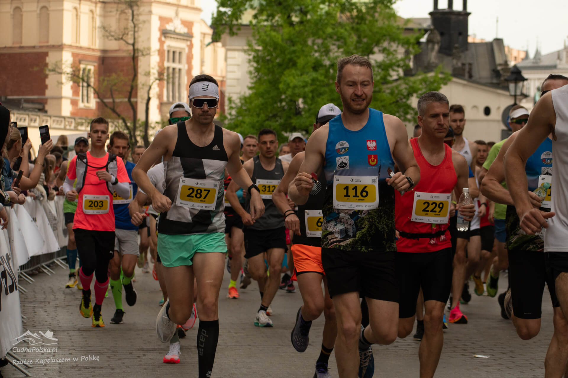 Read more about the article 21. Cracovia Maraton – kto był cichym zwycięzcą?