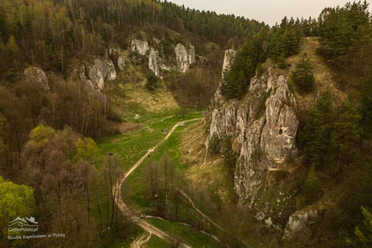 Read more about the article Ekspresowa ucieczka z Krakowa – Dolina Kobylańska