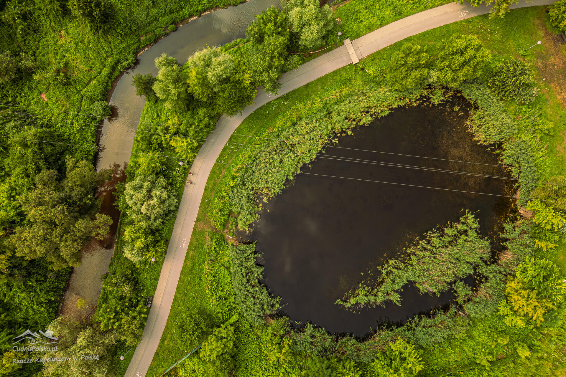 Read more about the article Park Rzeczny Wilga w Krakowie – Naturalna enklawa niedaleko Zamku Królewskiego na Wawelu