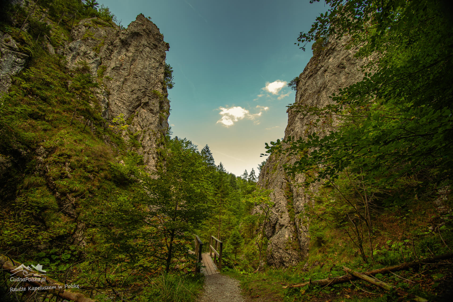 You are currently viewing Dolina za Bramką – uroczy i cichy zakątek w Tatrach