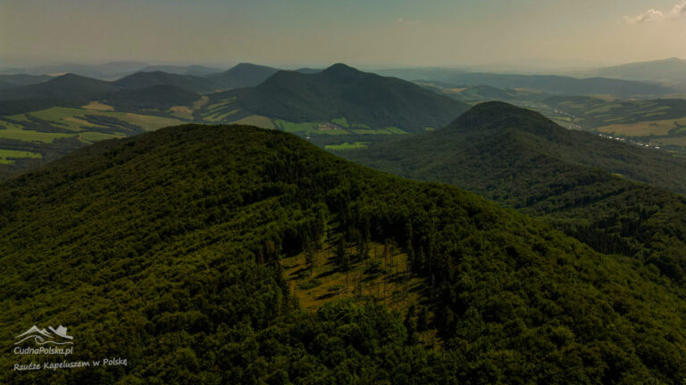 Read more about the article Lackowa – 997 m n.p.m. najwyższy szczyt Beskidu Niskiego
