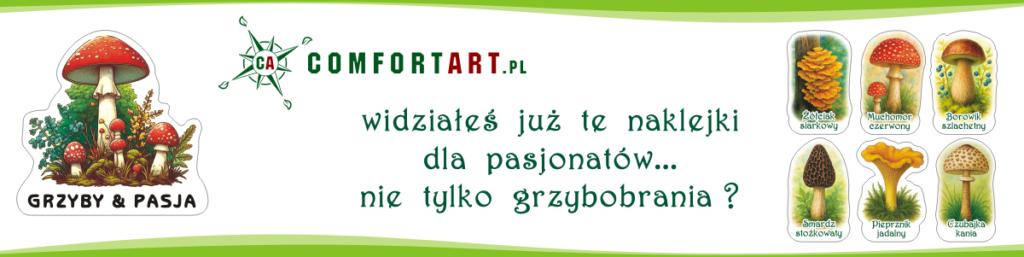 Naklejki dla grzybiarzy i pasjonatów grzybów
