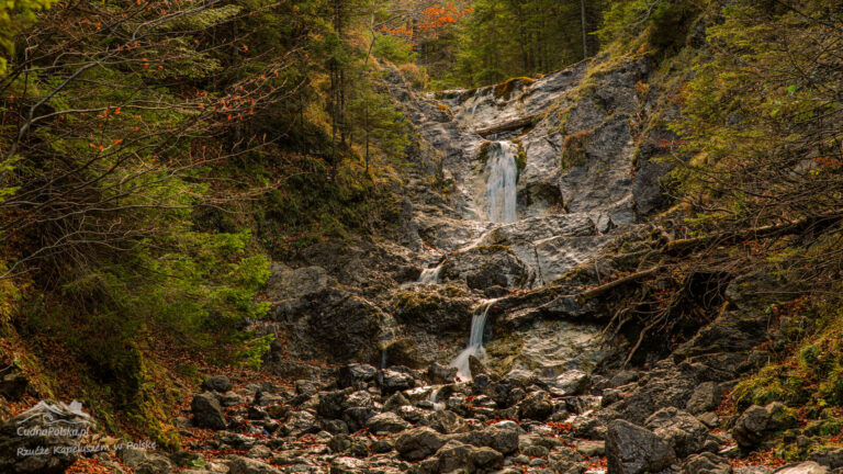 Read more about the article Dolina Białego – wspaniały relaksujący szlak w kierunku Sarniej Skały
