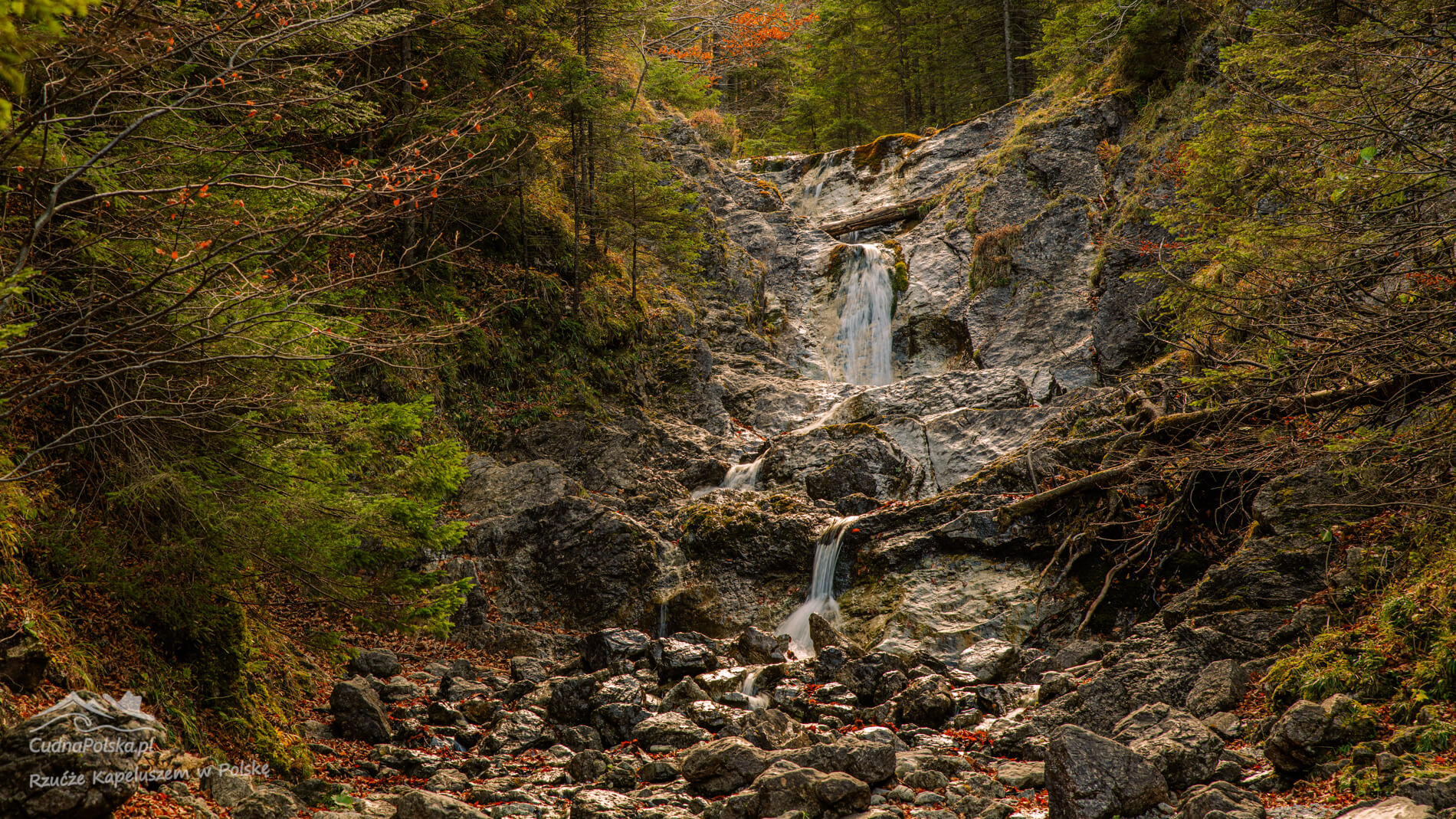 You are currently viewing Dolina Białego – wspaniały relaksujący szlak w kierunku Sarniej Skały
