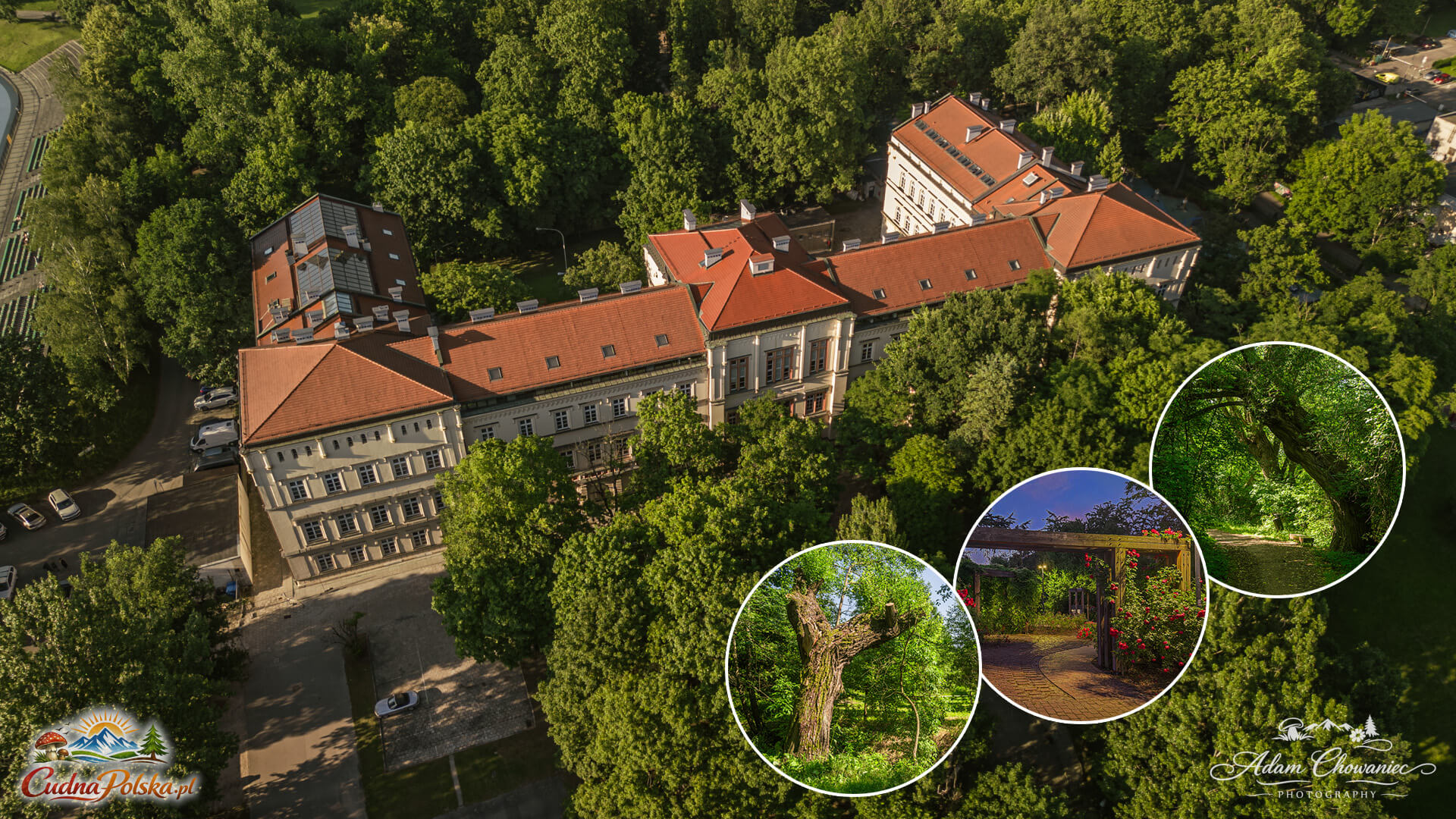 You are currently viewing Młynówka Królewska – 8 km krakowskiej zieleni – najdłuższy park w Polsce
